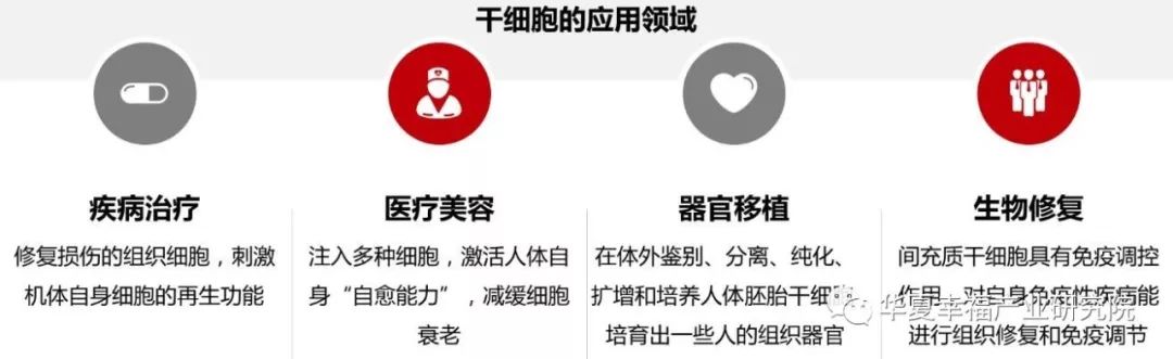 永生之门——哪里是中国干细胞技术的创新尖峰?(图2) 永生之门——哪里是中国干细胞技术的创新尖峰?(图2)