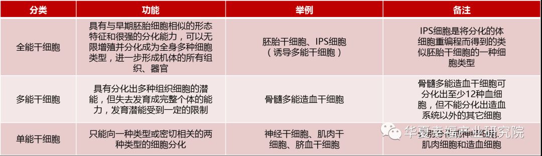 永生之门——哪里是中国干细胞技术的创新尖峰?(图1) 永生之门——哪里是中国干细胞技术的创新尖峰?(图1)