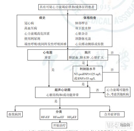 心衰作为心血管最后的战场,如何带来千亿市场空间(图1) 心衰作为心血管最后的战场,如何带来千亿市场空间(图1)