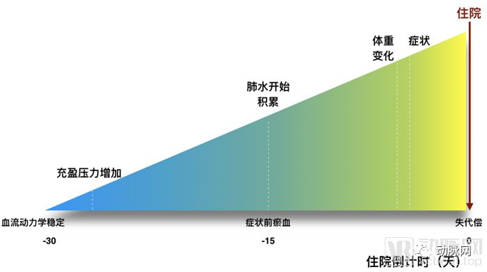 心衰作为心血管最后的战场,如何带来千亿市场空间(图2) 心衰作为心血管最后的战场,如何带来千亿市场空间(图2)