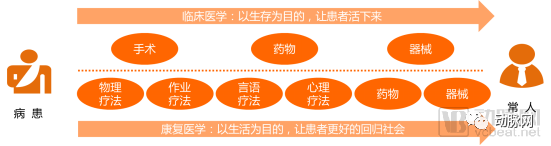 2019康复专题报告：6大黄金赛道，掘金康复产业千亿市场(图2)