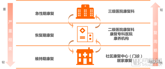 2019康复专题报告：6大黄金赛道，掘金康复产业千亿市场(图4)