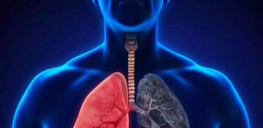 AI医学影像炙手可热,商业化之路还有多远? AI医学影像炙手可热,商业化之路还有多远?