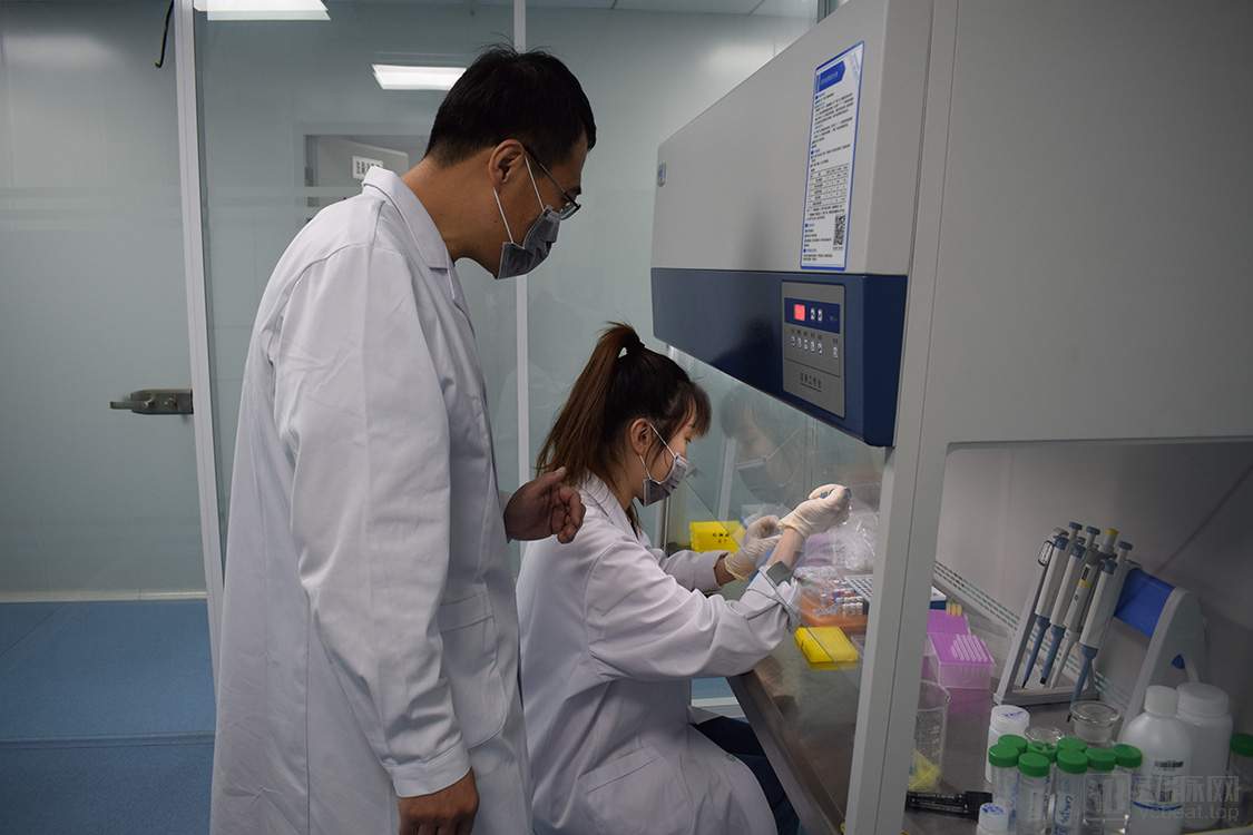 简码基因:专注病原微生物核酸检测,开发ASEA技术实现快速POCT(图2) 微信图片_20200514141908.jpg