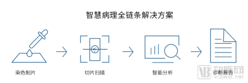 视见科技完成新一轮数千万融资,产业资本助力AI病理加速落地!(图1) image.png