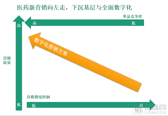 动脉网制图.png