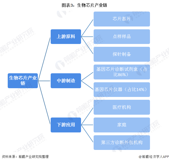 十张图了解2020年生物芯片市场现状及发展前景 中国市场将超百亿元(图3) 图表3:生物芯片产业链
