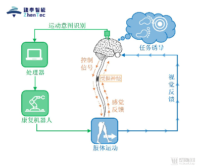 臻泰智能:瞄准康复领域刚需,发布“BCI+VR+机器人”脑机智能康复整体解决方案(图2) 图片1.png