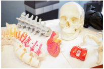 新材料情报NMT | 医用生物材料与3D打印的新碰撞 新材料情报NMT | 医用生物材料与3D打印的新碰撞