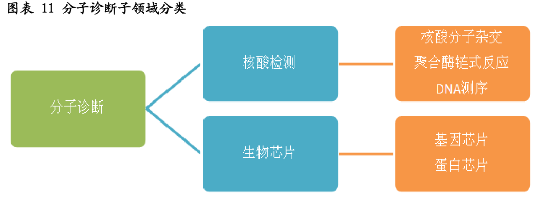 体外诊断600亿市场，小企业的大机会(图21)