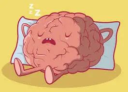 睡眠是如何通过“洗脑”来预防阿尔茨海默病的(图3) 睡眠是如何通过“洗脑”来预防阿尔茨海默病的(图3)