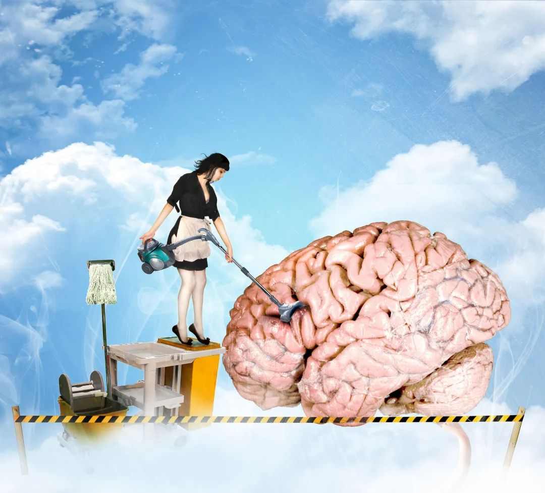睡眠是如何通过“洗脑”来预防阿尔茨海默病的(图9) 睡眠是如何通过“洗脑”来预防阿尔茨海默病的(图9)