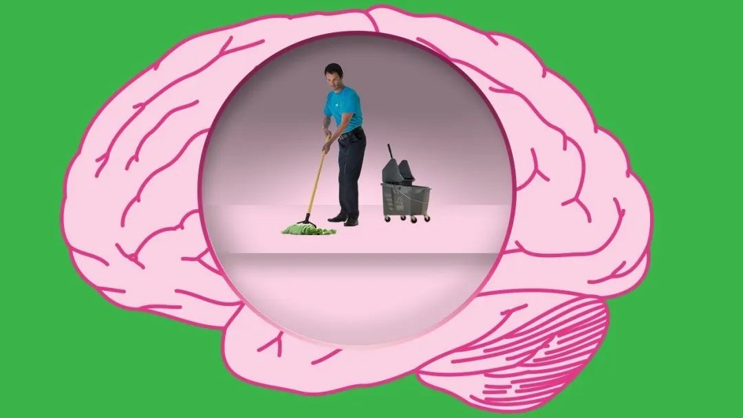 睡眠是如何通过“洗脑”来预防阿尔茨海默病的(图1) 睡眠是如何通过“洗脑”来预防阿尔茨海默病的(图1)