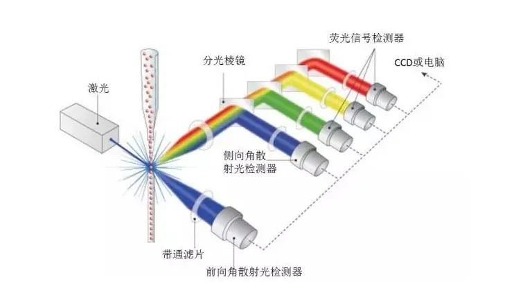 旷博生物：流式细胞诊断领域的领跑者(图5)