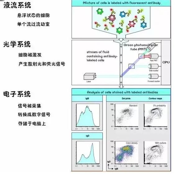 旷博生物：流式细胞诊断领域的领跑者(图6)