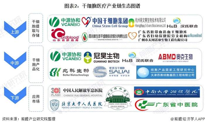 干细胞医疗产业链全景梳理及区域热力地图(图2) 图表2:干细胞医疗产业链生态图谱