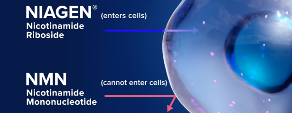 1618216121911067395.png image.png