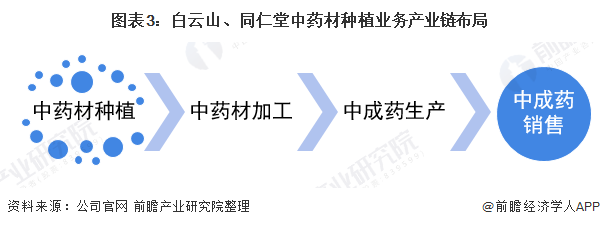 2021年中国中药材种植行业龙头企业对比(图3) 图表3:白云山、同仁堂中药材种植业务产业链布局