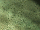 1622518722009026340.png image.png