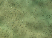 1622518731456082331.png image.png