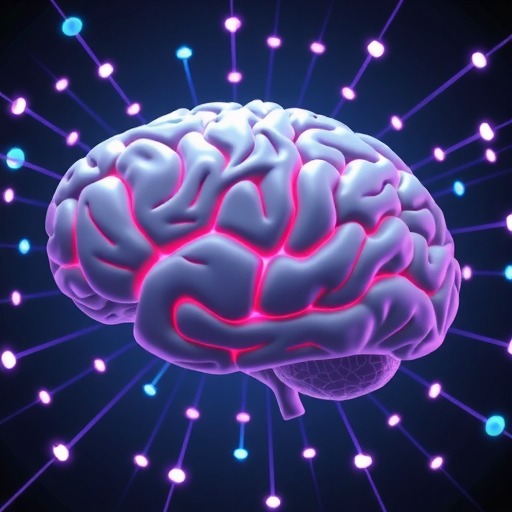 博斯腾科技认知症数字疗法解决方案,开启认知革命(图5) 博斯腾科技认知症数字疗法解决方案,开启认知革命(图5)