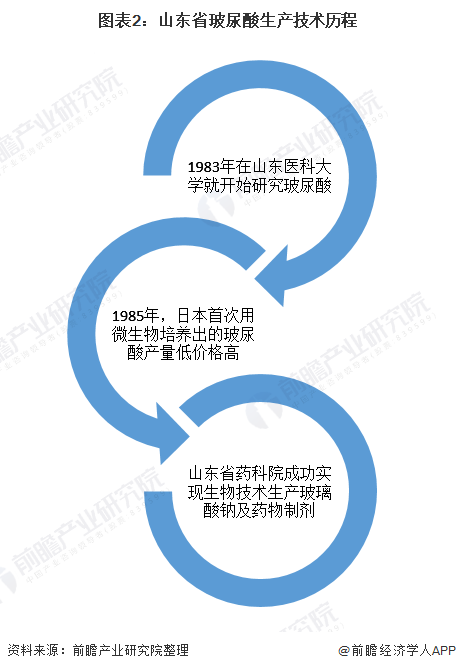 图表2：山东省玻尿酸生产技术历程