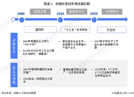 2021年中国转基因行业市场现状与发展前景预测(图1) 图表1:中国转基因作物发展历程
