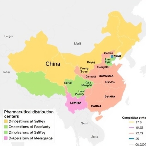 2021年中国医药流通行业区域竞争格局分析(图3) 2021年中国医药流通行业区域竞争格局分析(图3)