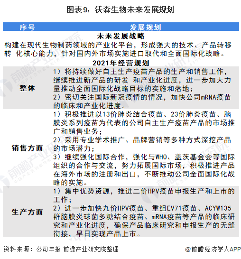 2021年中国人用疫苗行业龙头企业分析——沃森生物(图10) 图表9:沃森生物未来发展规划