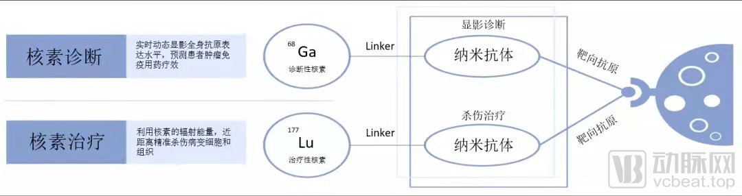 智核生物:国内首家核医学创新药企(图2) 微信图片_20210805171931.jpg