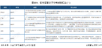 图表9：省市层面分子诊断政策汇总(三)