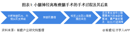 医美行业市场现状:非法医美问题仍然很大(图1) 图表1: 小腿神经离断瘦腿手术的手术过程及其后果