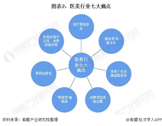 图表2：医美行业七大痛点