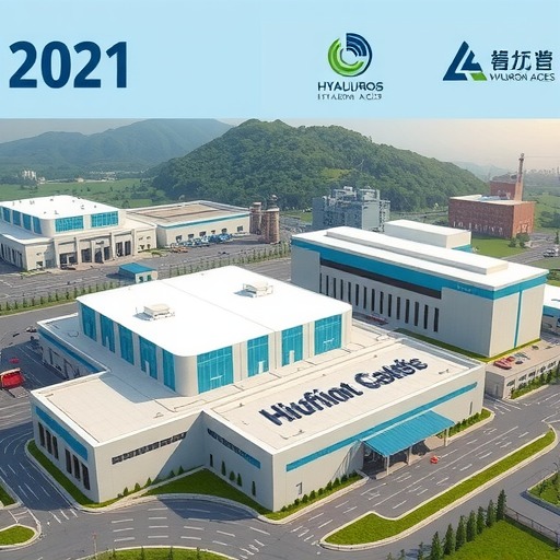 2021年中国玻尿酸行业市场现状与竞争格局分析(图3)