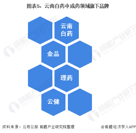 2021年中国中成药行业头部企业全方位对比(图6) 图表5:云南白药中成药领域旗下品牌