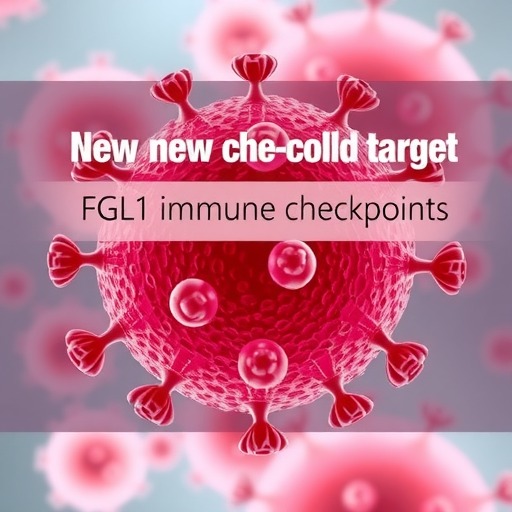 FGL1:下一个免疫检查点靶点(图3) FGL1:下一个免疫检查点靶点(图3)