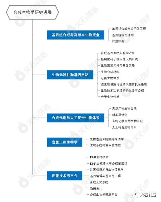 未来生物医药:合成生物学炙手可热(图2) 未来生物医药:合成生物学炙手可热(图2)