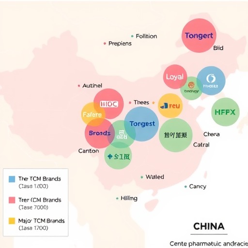中国华中地区中成药市场竞争格局分析(图5) 中国华中地区中成药市场竞争格局分析(图5)