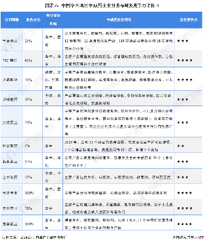 中国华中地区中成药市场竞争格局分析(图8) 图表7:中国华中地区中成药企业业务布局及竞争力评价-1