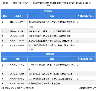 图表11：截止2021年8月平安健康V.S.泰康保险健康保险行业重点专利家族规模(单位：项)