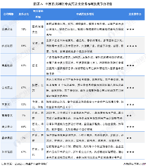 中国西北地区中成药市场竞争格局(图7) 图表7:中国西北地区中成药企业业务布局及竞争力评价