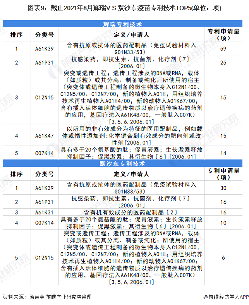 图表9：截止2021年8月辉瑞V.S.默沙东疫苗专利技术TOP5(单位：项)