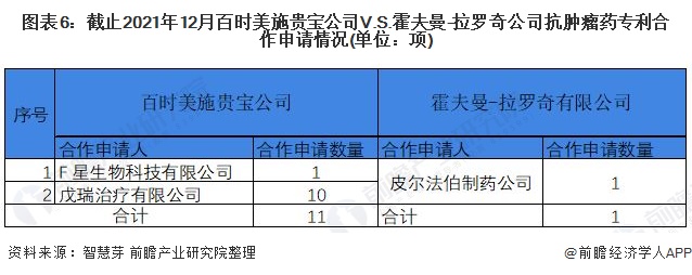 图表6：截止2021年12月百时美施贵宝公司V.S.霍夫曼-拉罗奇公司抗肿瘤药专利合作申请情况(单位：项)