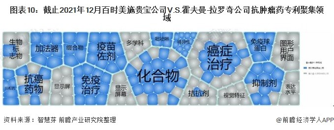 图表10：截止2021年12月百时美施贵宝公司V.S.霍夫曼-拉罗奇公司抗肿瘤药专利聚集领域