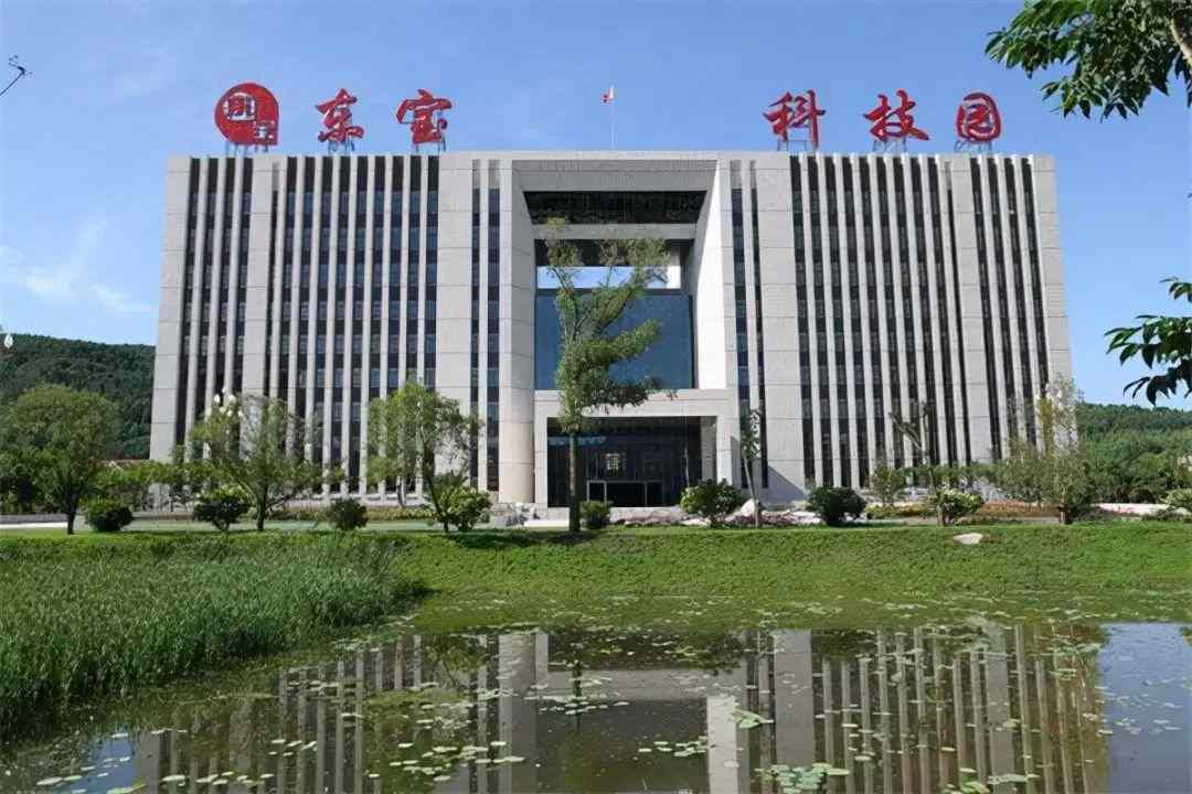 跨国药企占75%中国市场，国产胰岛素崛起(图7)