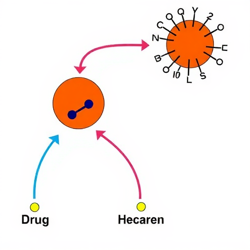 靶向药物的免疫调节机制(图5) 靶向药物的免疫调节机制(图5)