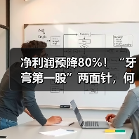净利润预降80%!“牙膏第一股”两面针,何时才能找到新方向?(图3) 净利润预降80%!“牙膏第一股”两面针,何时才能找到新方向?(图3)