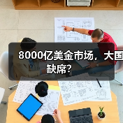 8000亿美金市场,大国缺席?(图3) 8000亿美金市场,大国缺席?(图3)