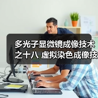 多光子显微镜成像技术之十八 虚拟染色成像技术(图4) 多光子显微镜成像技术之十八 虚拟染色成像技术(图4)