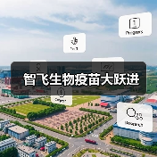 智飞生物疫苗大跃进(图1) 智飞生物疫苗大跃进(图1)